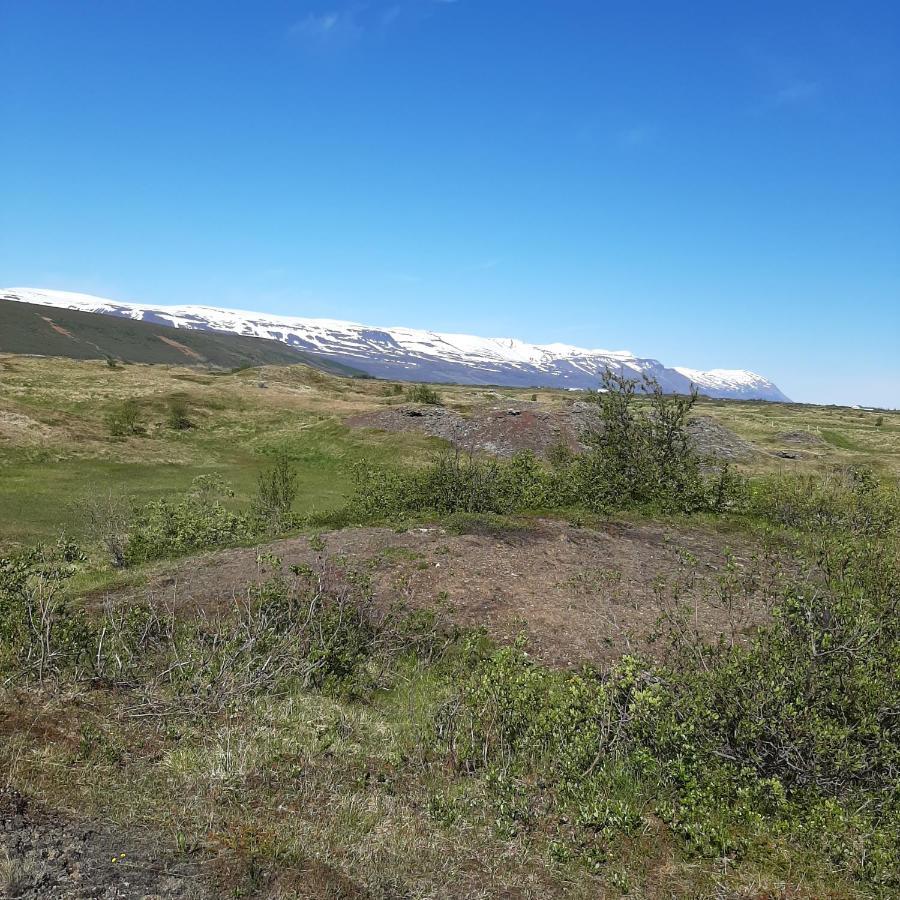 Hagi 1 Guesthouse Athaldalur Eksteriør bilde
