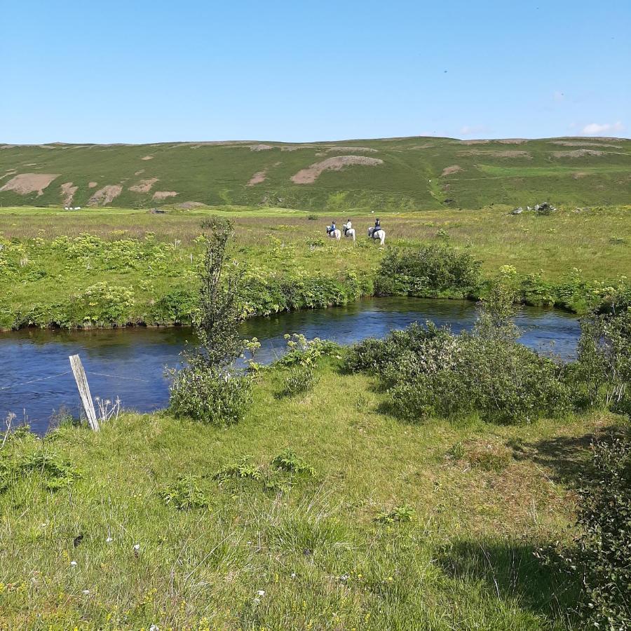 Hagi 1 Guesthouse Athaldalur Eksteriør bilde